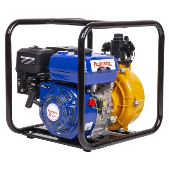 PA15TH EUR5 YÜKSEK BASINÇLI SU MOTORU 1.5" 